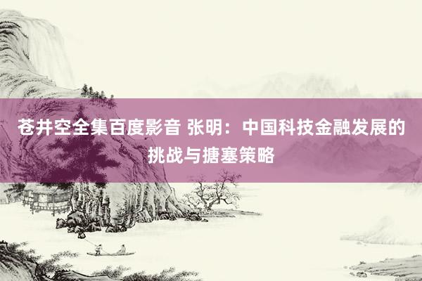 苍井空全集百度影音 张明：中国科技金融发展的挑战与搪塞策略