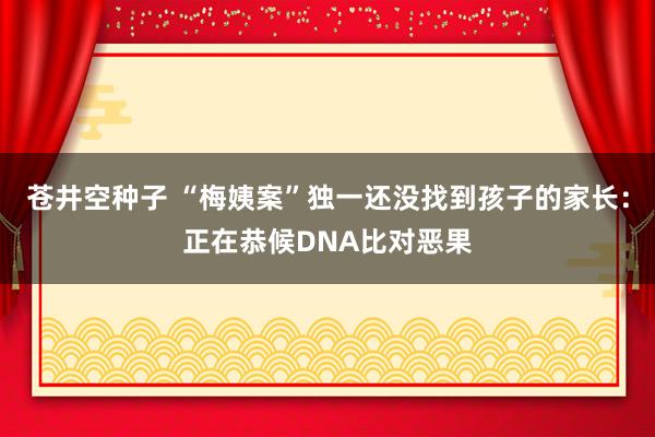 苍井空种子 “梅姨案”独一还没找到孩子的家长：正在恭候DNA比对恶果