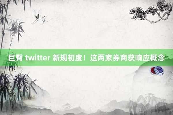 巨臀 twitter 新规初度！这两家券商获响应概念