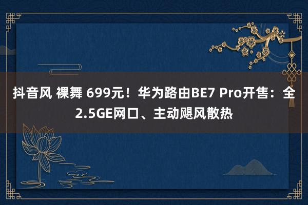 抖音风 裸舞 699元！华为路由BE7 Pro开售：全2.5GE网口、主动飓风散热