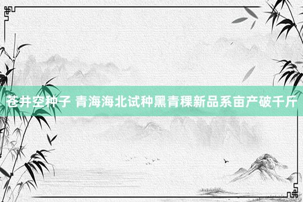 苍井空种子 青海海北试种黑青稞新品系亩产破千斤
