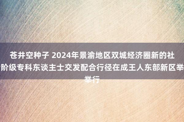 苍井空种子 2024年景渝地区双城经济圈新的社会阶级专科东谈主士交发配合行径在成王人东部新区举行