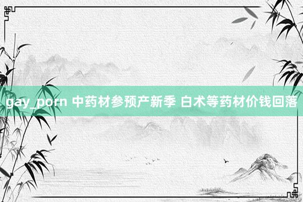 gay_porn 中药材参预产新季 白术等药材价钱回落