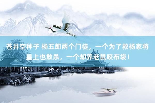 苍井空种子 杨五郎两个门徒，一个为了救杨家将皇上也敢杀，一个却养老鼠咬布袋！