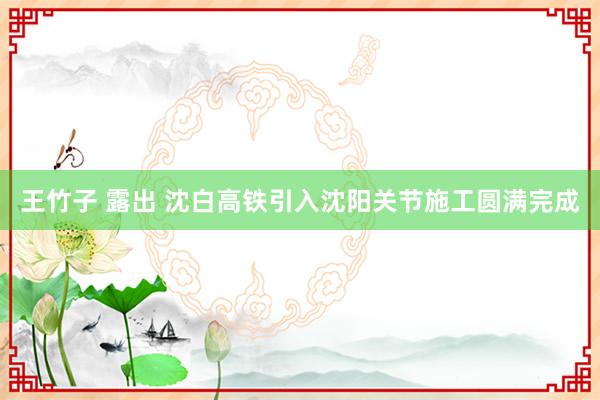 王竹子 露出 沈白高铁引入沈阳关节施工圆满完成