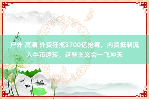 户外 高潮 外资狂揽3700亿抢筹，内资抵制流入牛市运转，这些主义会一飞冲天
