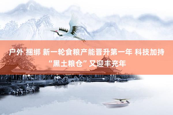 户外 捆绑 新一轮食粮产能晋升第一年 科技加持“黑土粮仓”又迎丰充年