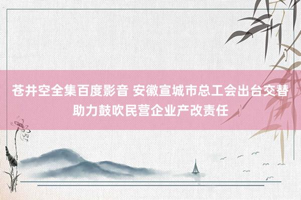 苍井空全集百度影音 安徽宣城市总工会出台交替助力鼓吹民营企业产改责任