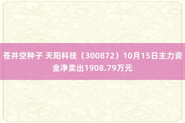 苍井空种子 天阳科技（300872）10月15日主力资金净卖出1908.79万元