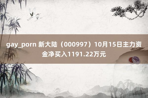 gay_porn 新大陆（000997）10月15日主力资金净买入1191.22万元