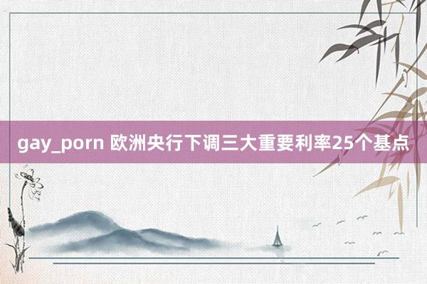 gay_porn 欧洲央行下调三大重要利率25个基点
