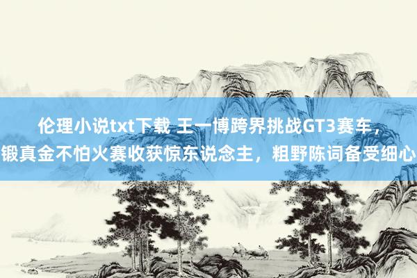 伦理小说txt下载 王一博跨界挑战GT3赛车，锻真金不怕火赛收获惊东说念主，粗野陈词备受细心