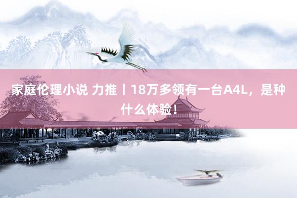 家庭伦理小说 力推丨18万多领有一台A4L，是种什么体验！