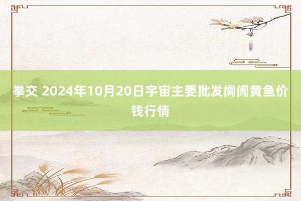 拳交 2024年10月20日宇宙主要批发阛阓黄鱼价钱行情