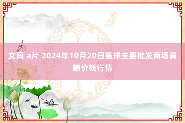 女同 a片 2024年10月20日寰球主要批发商场黄鳝价钱行情