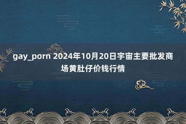gay_porn 2024年10月20日宇宙主要批发商场黄肚仔价钱行情