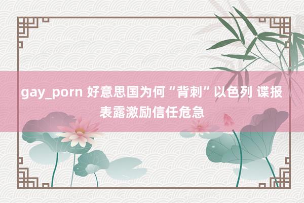 gay_porn 好意思国为何“背刺”以色列 谍报表露激励信任危急