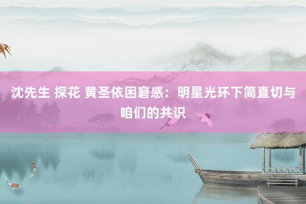 沈先生 探花 黄圣依困窘感：明星光环下简直切与咱们的共识