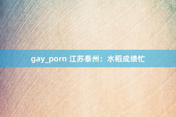 gay_porn 江苏泰州：水稻成绩忙