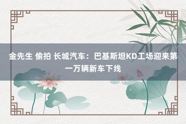 金先生 偷拍 长城汽车：巴基斯坦KD工场迎来第一万辆新车下线