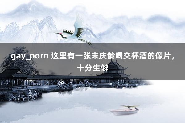 gay_porn 这里有一张宋庆龄喝交杯酒的像片，十分生僻