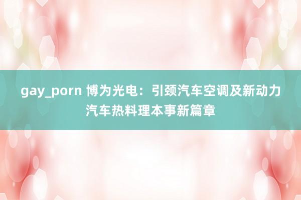 gay_porn 博为光电：引颈汽车空调及新动力汽车热料理本事新篇章