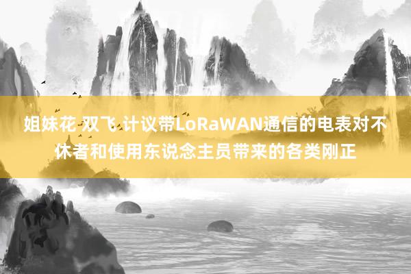 姐妹花 双飞 计议带LoRaWAN通信的电表对不休者和使用东说念主员带来的各类刚正