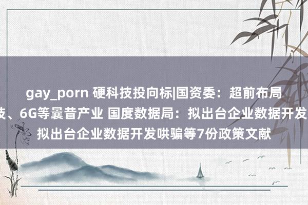 gay_porn 硬科技投向标|国资委：超前布局、梯次耕种量子科技、6G等曩昔产业 国度数据局：拟出台企业数据开发哄骗等7份政策文献