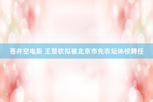 苍井空电影 王楚钦拟被北京市先农坛体校聘任