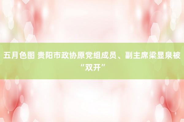 五月色图 贵阳市政协原党组成员、副主席梁显泉被“双开”