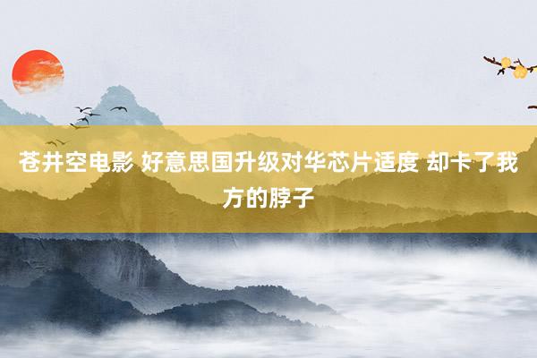 苍井空电影 好意思国升级对华芯片适度 却卡了我方的脖子