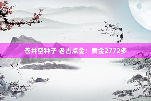 苍井空种子 老古点金：黄金2772多