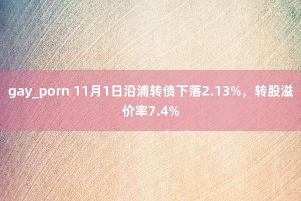 gay_porn 11月1日沿浦转债下落2.13%，转股溢价率7.4%