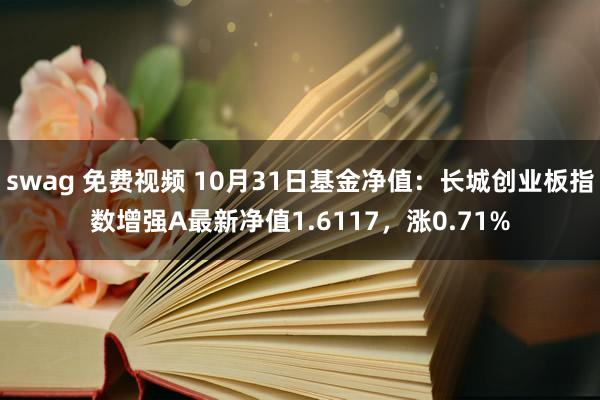 swag 免费视频 10月31日基金净值：长城创业板指数增强A最新净值1.6117，涨0.71%