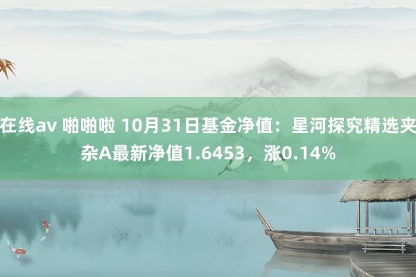 在线av 啪啪啦 10月31日基金净值：星河探究精选夹杂A最新净值1.6453，涨0.14%
