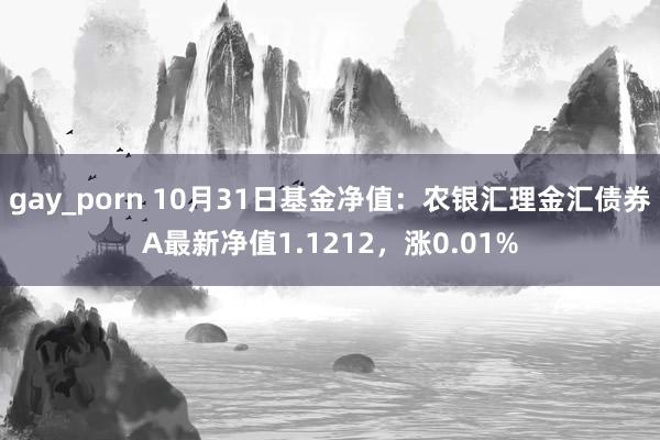 gay_porn 10月31日基金净值：农银汇理金汇债券A最新净值1.1212，涨0.01%
