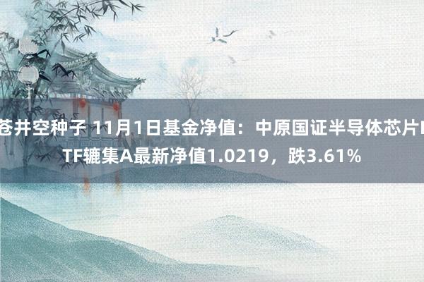 苍井空种子 11月1日基金净值：中原国证半导体芯片ETF辘集A最新净值1.0219，跌3.61%