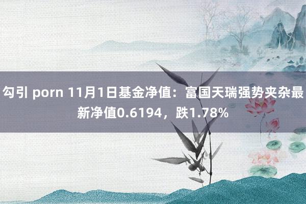 勾引 porn 11月1日基金净值：富国天瑞强势夹杂最新净值0.6194，跌1.78%