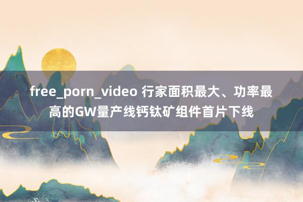 free_porn_video 行家面积最大、功率最高的GW量产线钙钛矿组件首片下线