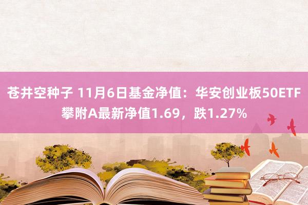 苍井空种子 11月6日基金净值：华安创业板50ETF攀附A最新净值1.69，跌1.27%
