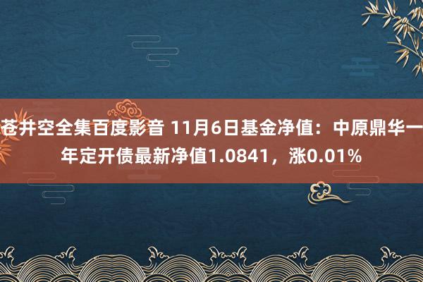 苍井空全集百度影音 11月6日基金净值：中原鼎华一年定开债最新净值1.0841，涨0.01%