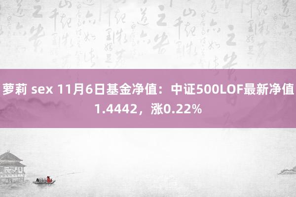 萝莉 sex 11月6日基金净值：中证500LOF最新净值1.4442，涨0.22%