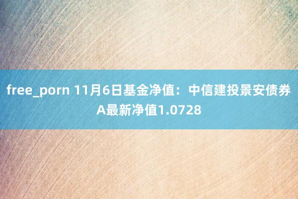 free_porn 11月6日基金净值：中信建投景安债券A最新净值1.0728