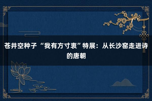 苍井空种子 “我有方寸衷”特展：从长沙窑走进诗的唐朝