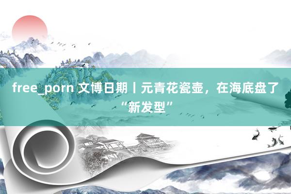 free_porn 文博日期丨元青花瓷壶，在海底盘了“新发型”