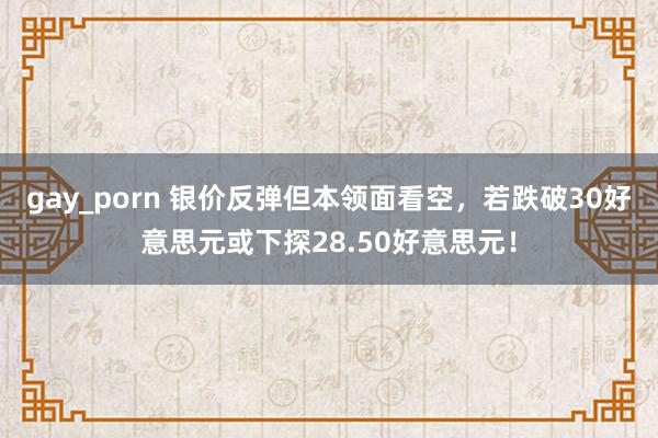 gay_porn 银价反弹但本领面看空，若跌破30好意思元或下探28.50好意思元！