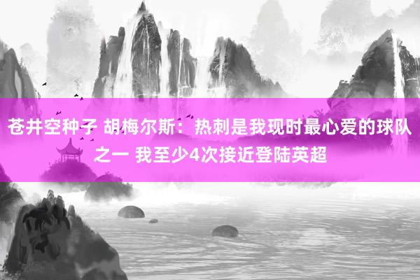 苍井空种子 胡梅尔斯：热刺是我现时最心爱的球队之一 我至少4次接近登陆英超