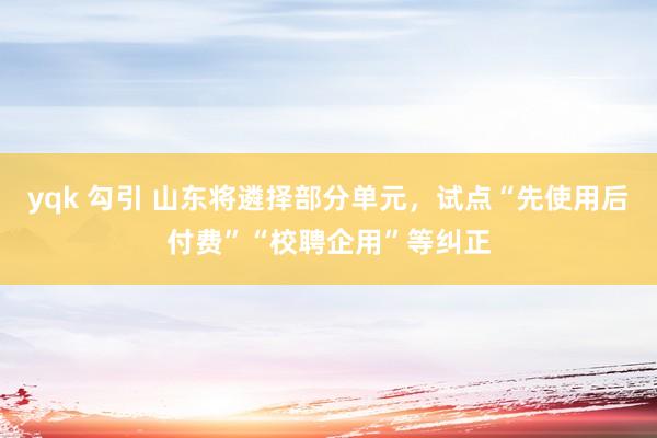 yqk 勾引 山东将遴择部分单元，试点“先使用后付费”“校聘企用”等纠正