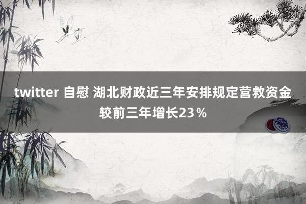 twitter 自慰 湖北财政近三年安排规定营救资金较前三年增长23％