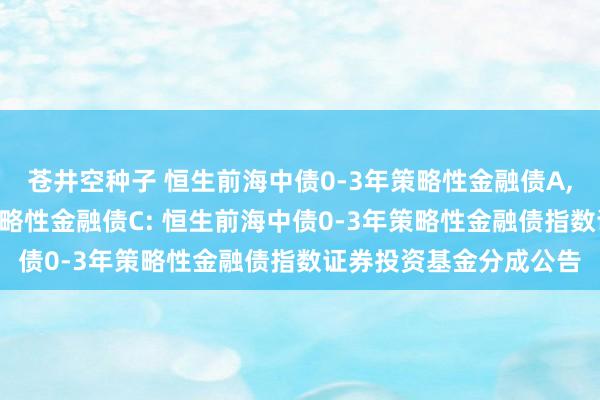 苍井空种子 恒生前海中债0-3年策略性金融债A,恒生前海中债0-3年策略性金融债C: 恒生前海中债0-3年策略性金融债指数证券投资基金分成公告